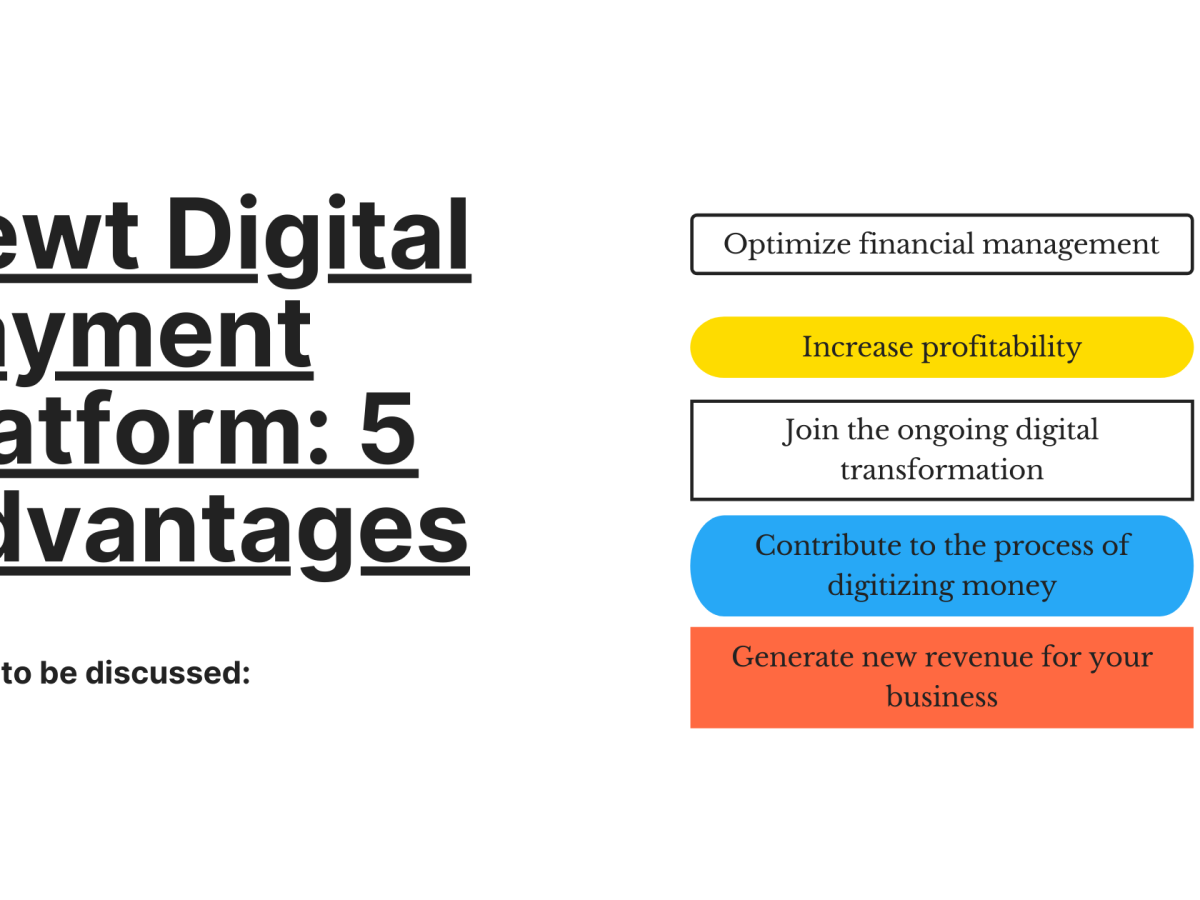 Newt Digital Payment Platform: 5 Advantages